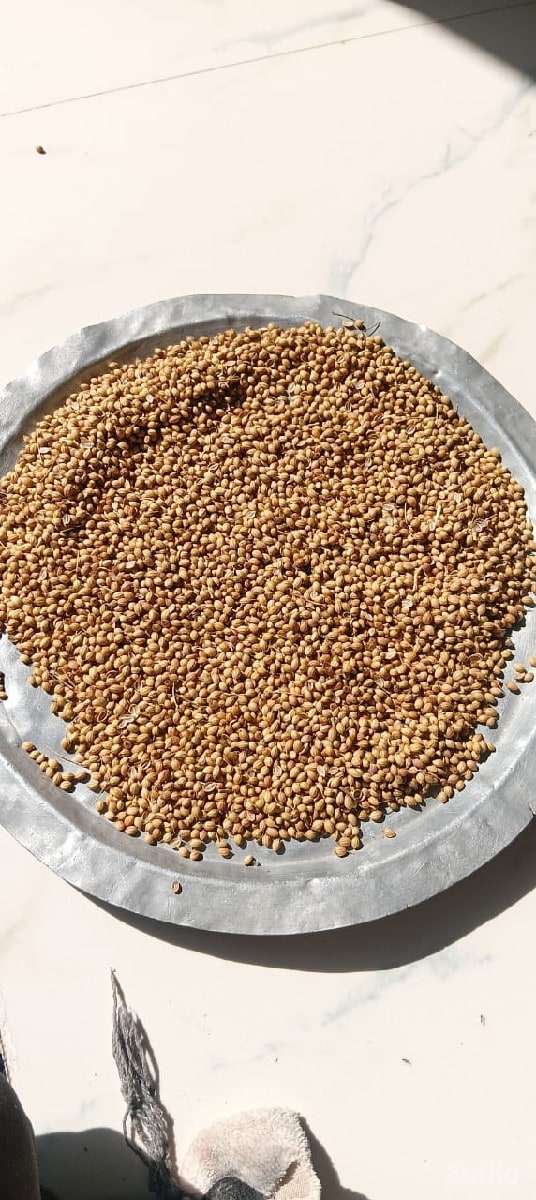 જમીન ભાગ મા આપવાની સે