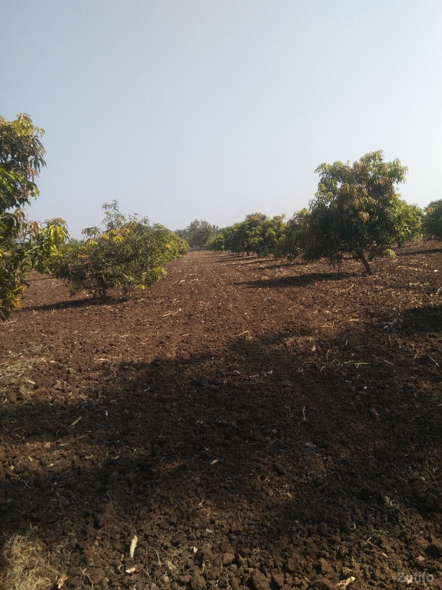 જમીન વેચવાની છે - જમીન અને પ્લોટ - સોમનાથ - Image 2