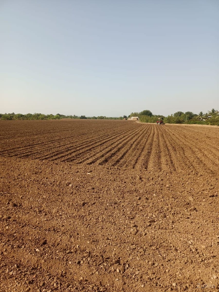 જમીન વેચવાની છે - Land & Plots - Kutiyana - Image 3