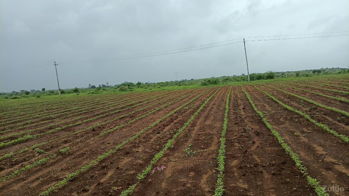 jamin vechva ni che - જમીન અને પ્લોટ - દ્વારકા - Image 2
