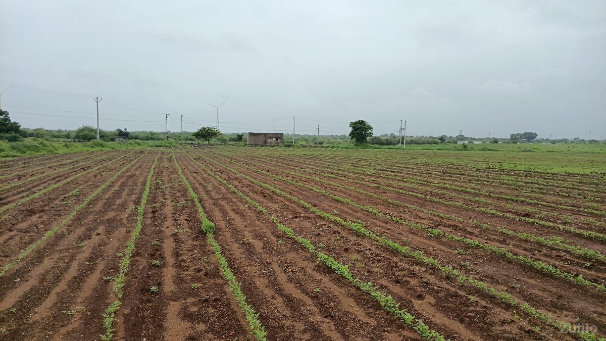 jamin vechva ni che - જમીન અને પ્લોટ - દ્વારકા - Image 3
