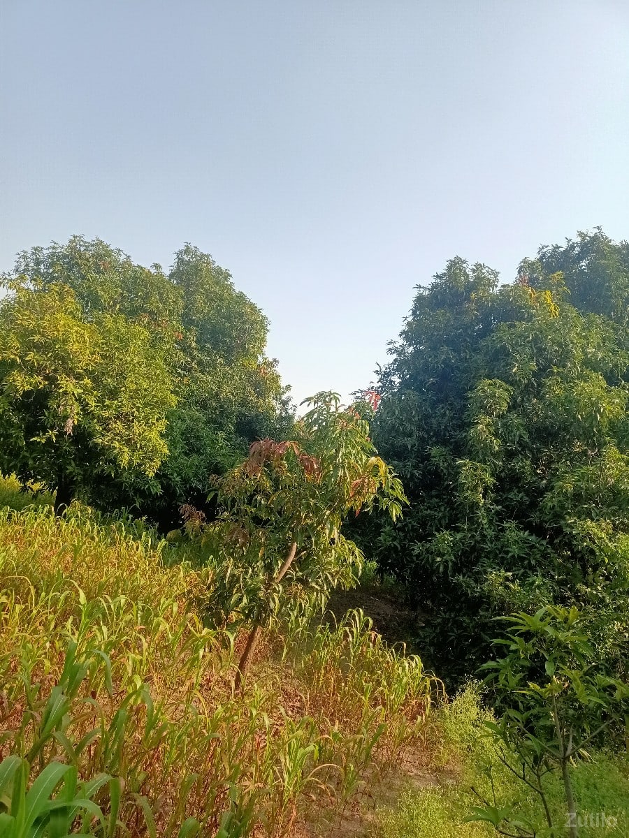 સારી જમીન લેવા માટે કોન્ટેક્ટ કરો
