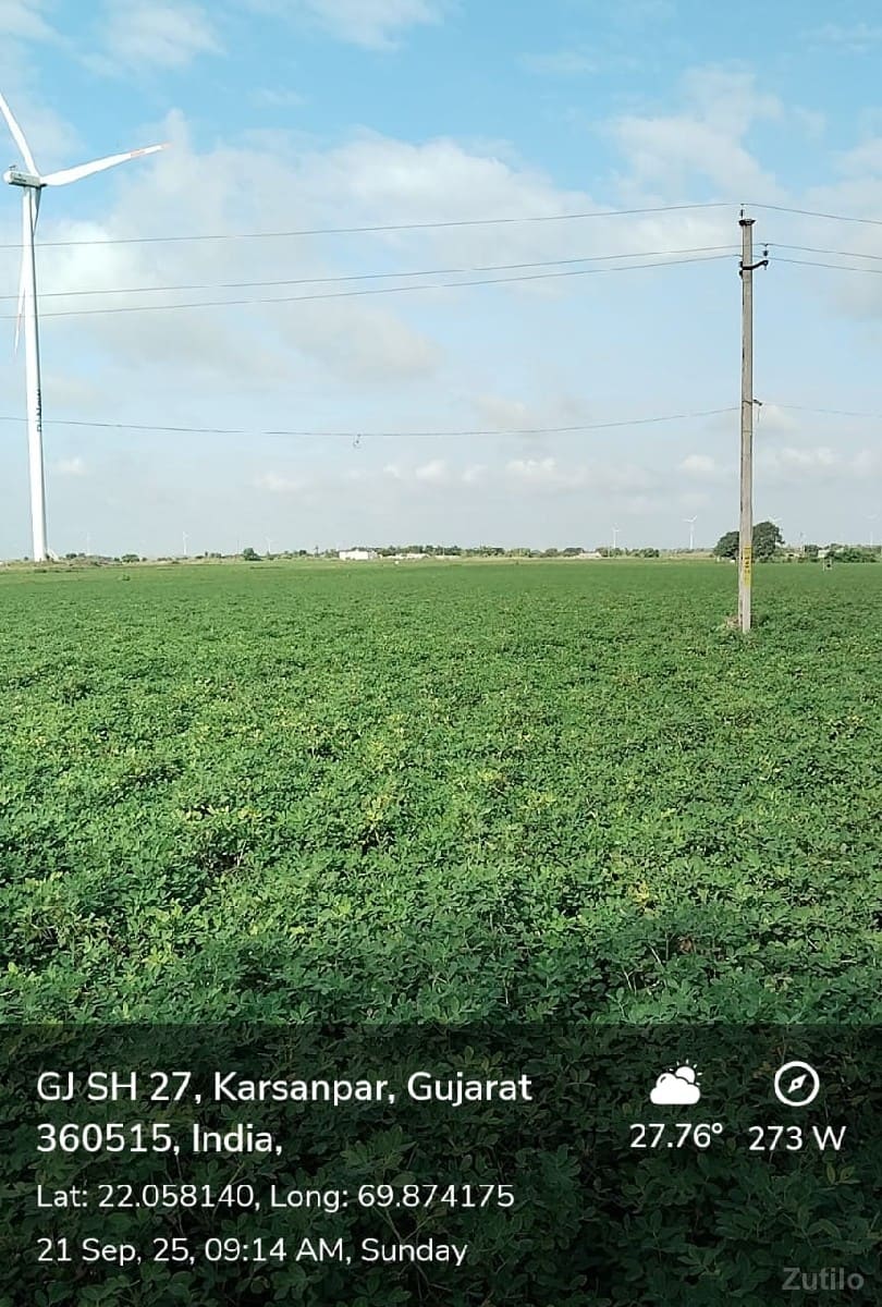 ખેતી લાયક જમીન વેચવાની છે