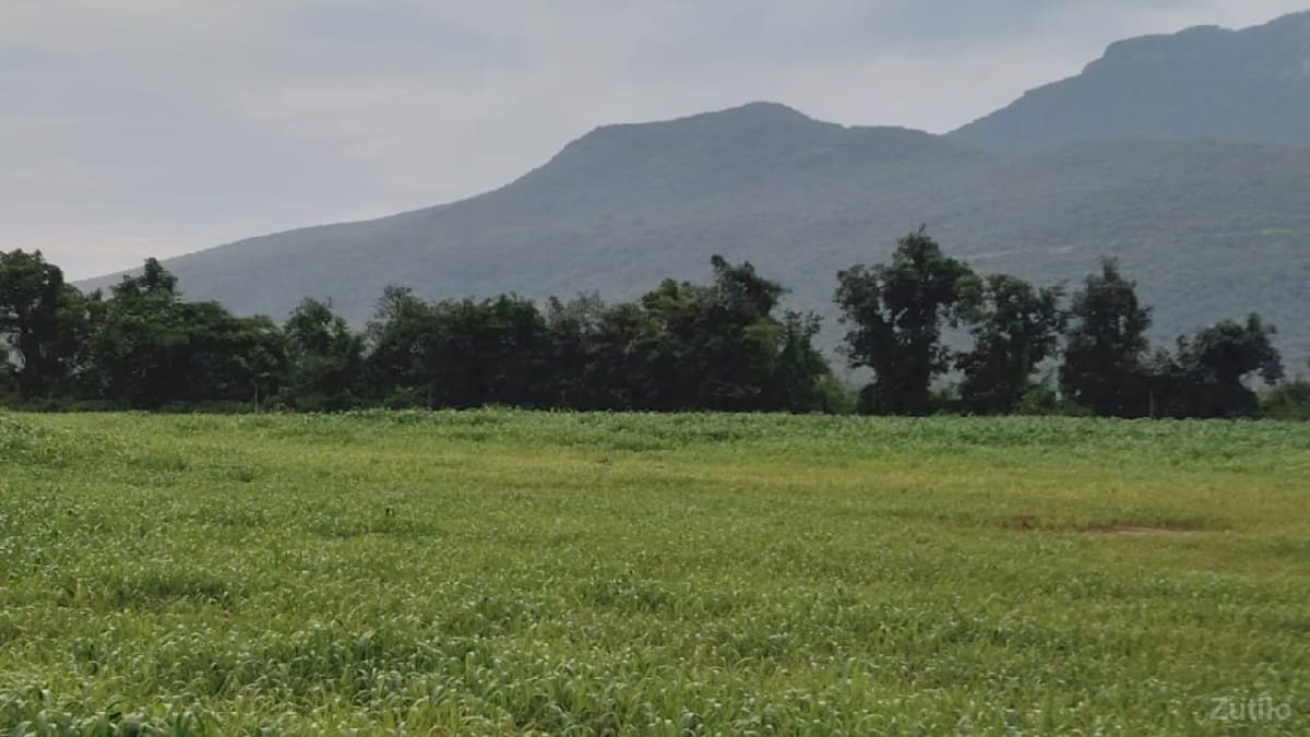 ખડિયા  માં જમીન વેચવાની છે - Land & Plots - Una - Image 2
