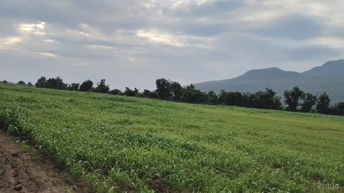 ખડિયા  માં જમીન વેચવાની છે - Land & Plots - Una - Image 3