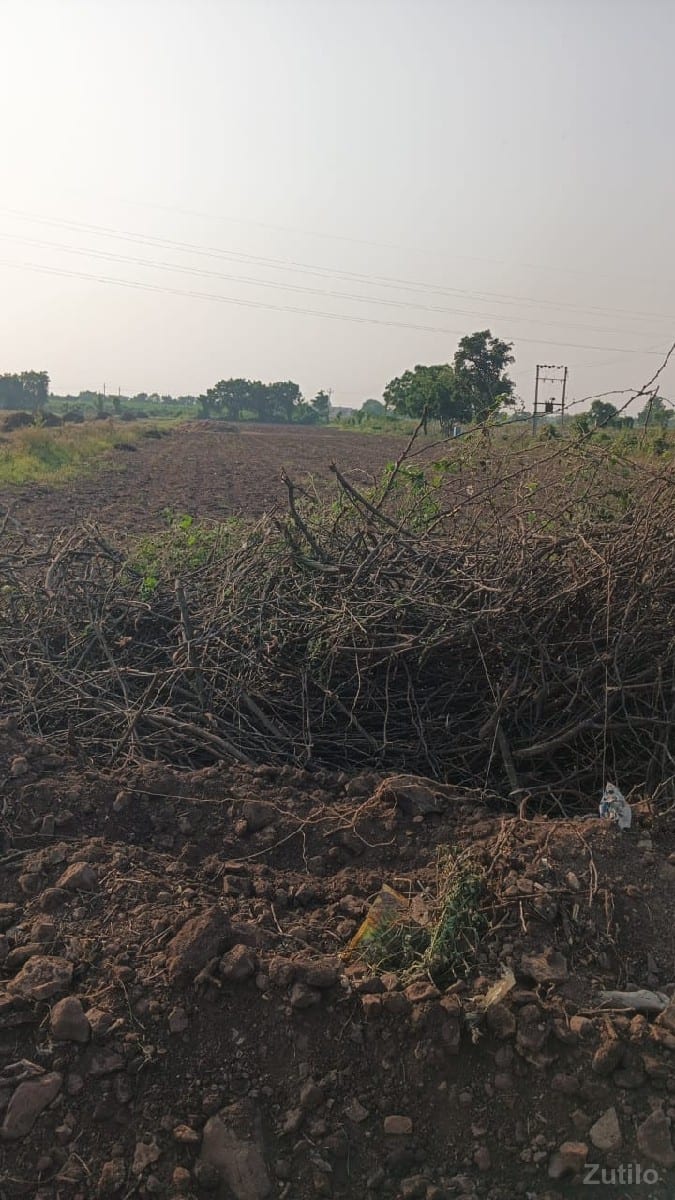 મારે જમીન લેવાની છે. - Land & Plots - Jamjodhpur - Image 2