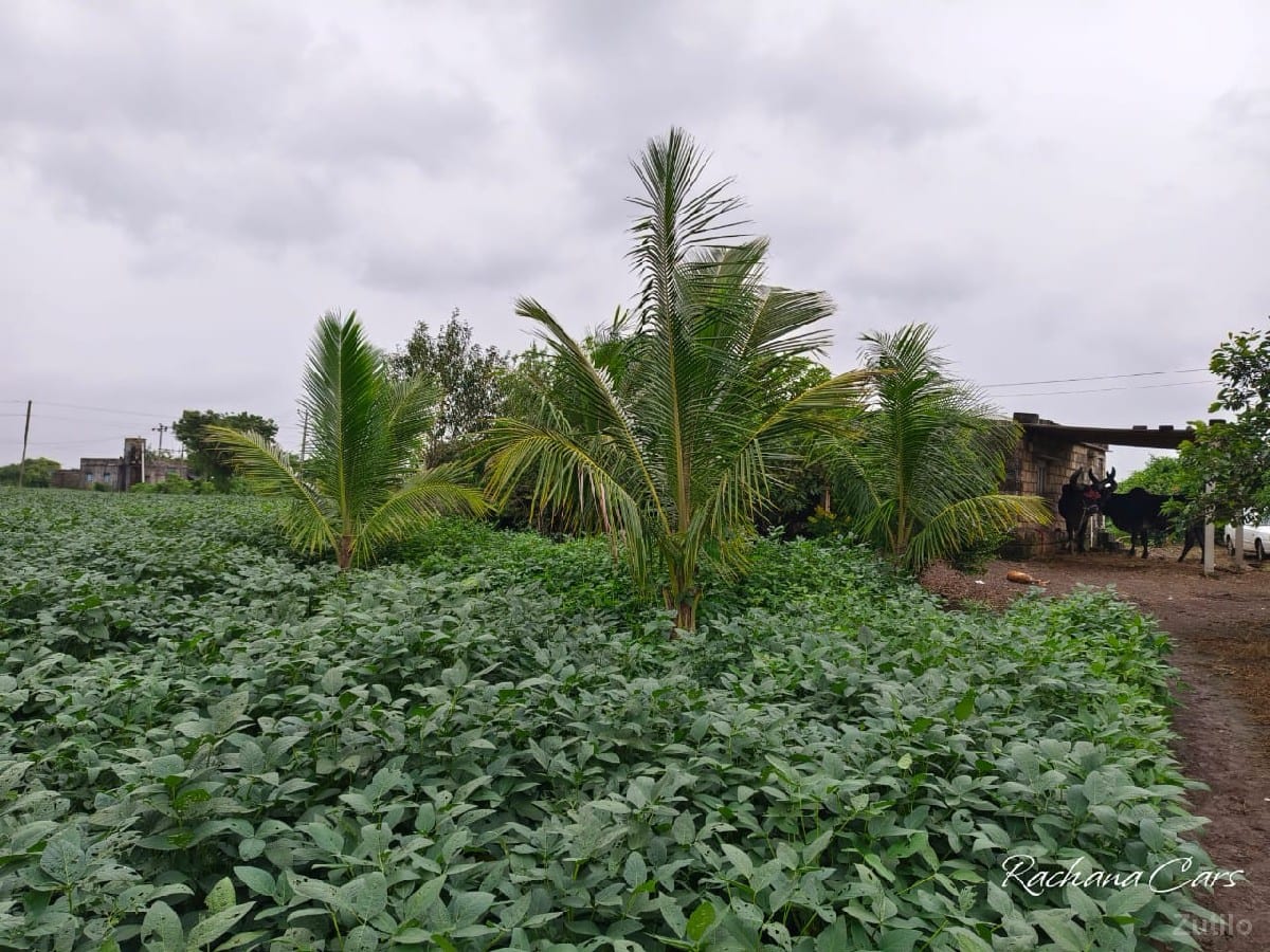 જમીન રોડ ટચ વેચવાની છે. - Land & Plots - Bhanvad - Image 2