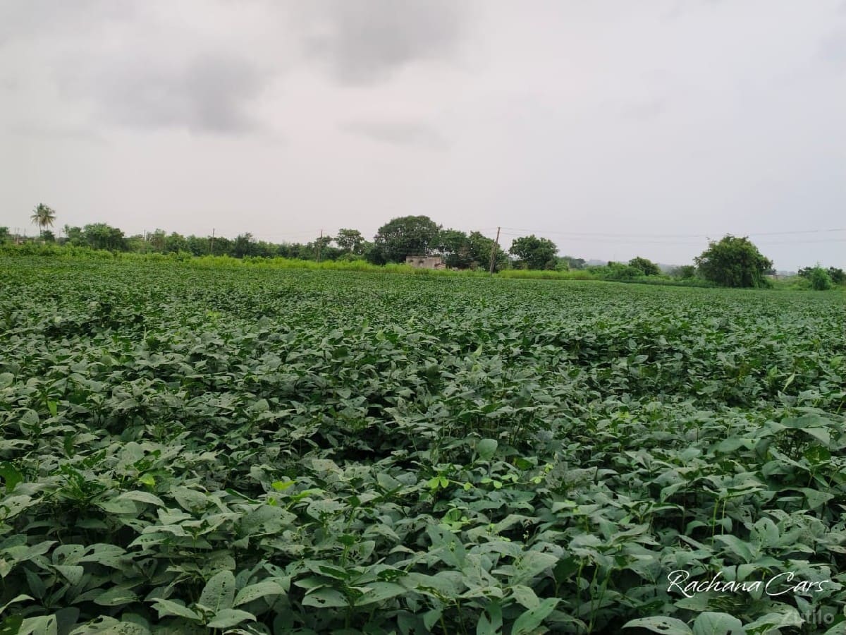 જમીન રોડ ટચ વેચવાની છે. - Land & Plots - Bhanvad - Image 3
