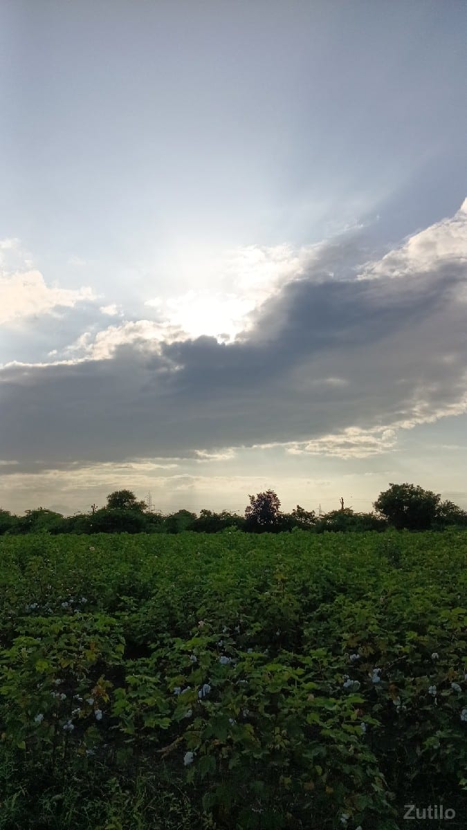 જમીન લેવા માટે મળો જમીન લેવા માટે મળો