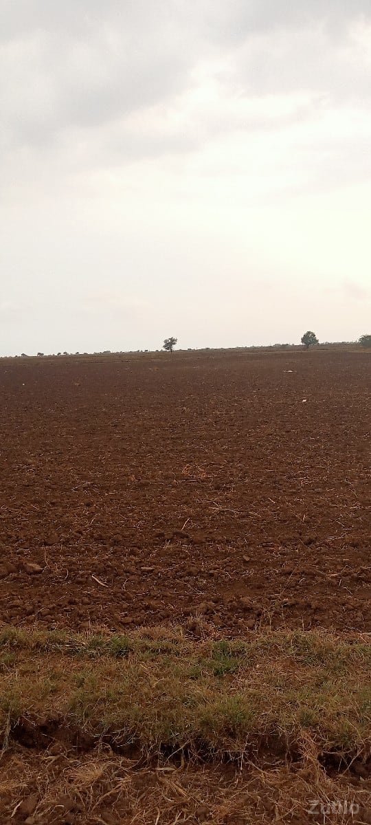 ખેતીની જમીન વેસવાની છે - Land & Plots - Kutiyana - Image 2