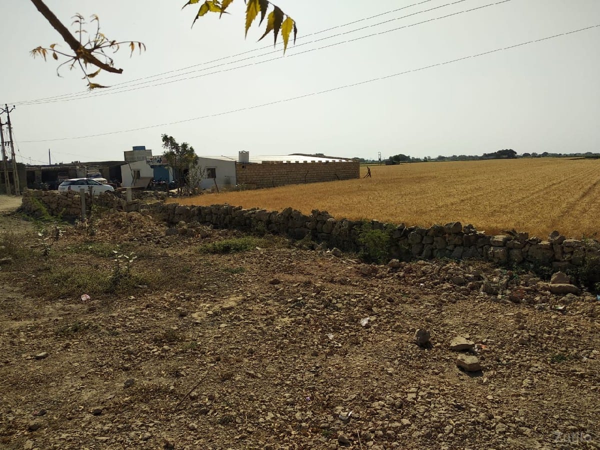 જમીન ભાડે આપવાની છે હાઇવે ટચ - Land & Plots - Kutiyana - Image 2