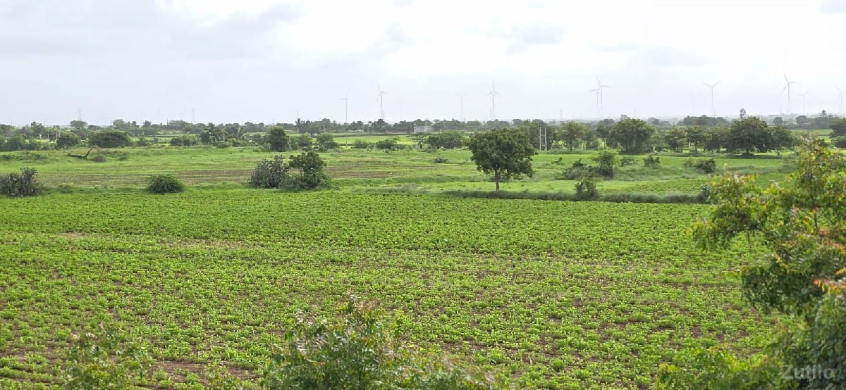 જમીન લેવાની છે - જમીન અને પ્લોટ - દ્વારકા - Image 2