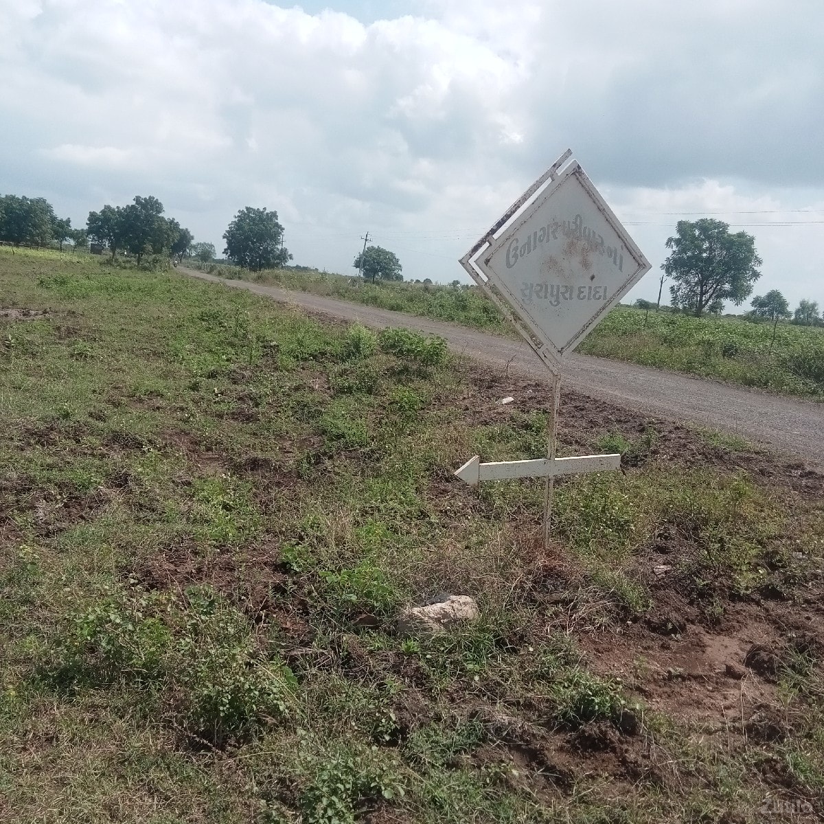 રોડ ટચ જમીન વેચવાની છે - Land & Plots - Dhari - Image 2