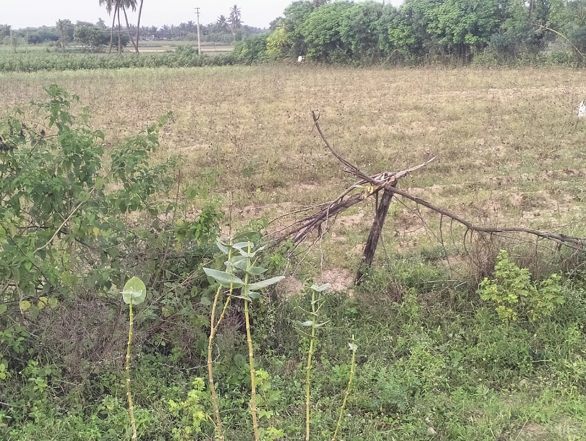 આ જમીન વેચવાની છે - Land & Plots - Kodinar - Image 3