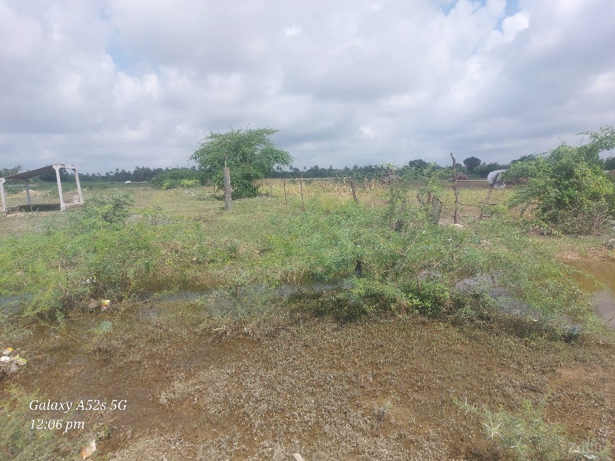 6 વીધા વેસવાની - Land & Plots - Somnath - Image 3