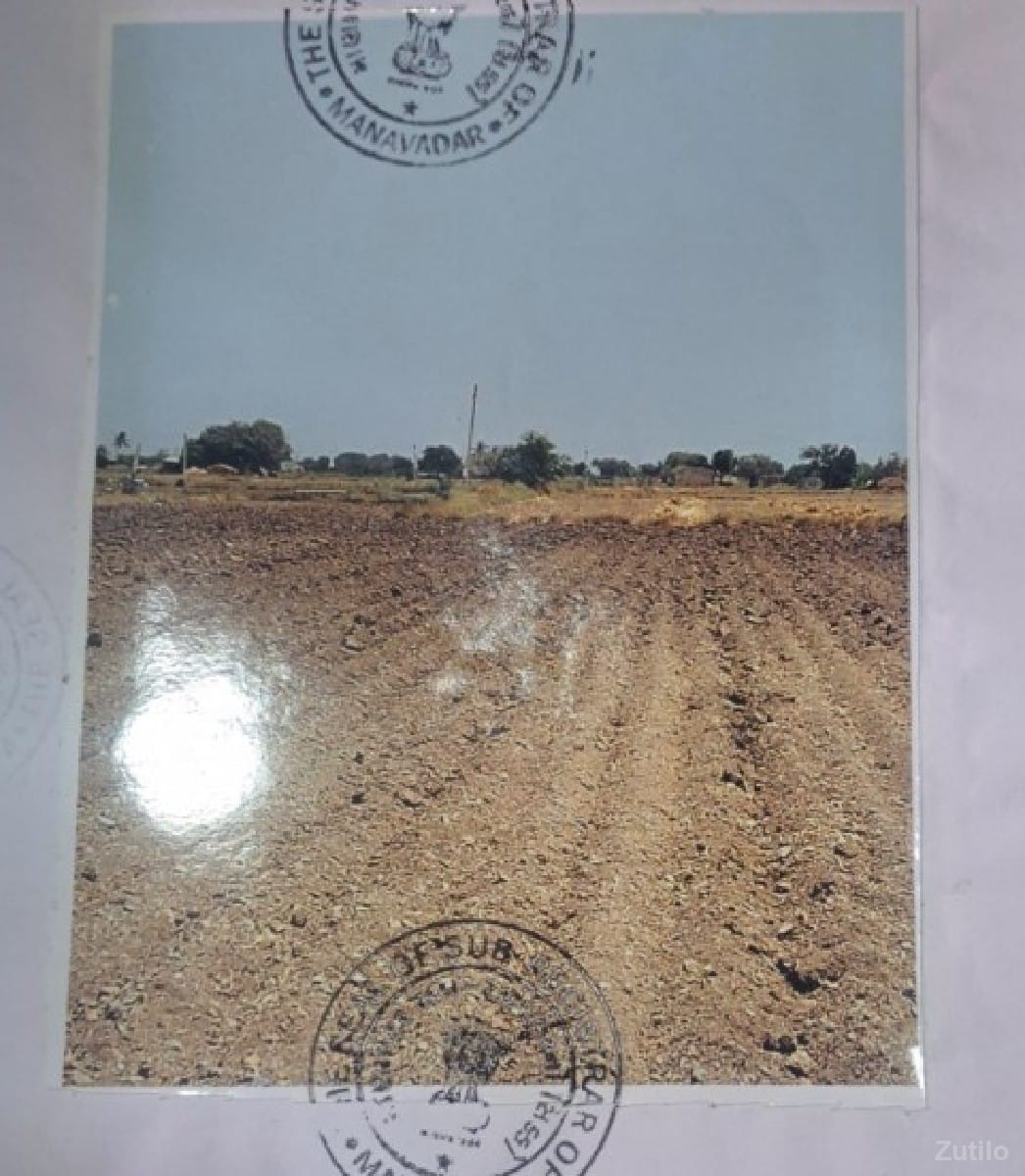 જુનાગઢ જિલ્લાની જમીન