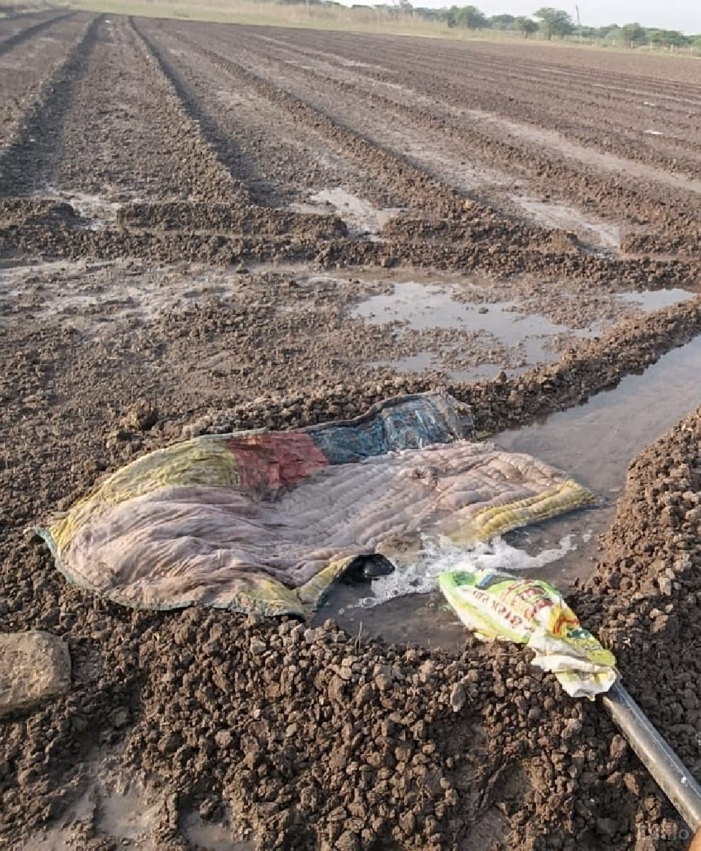 ખેતી ની જમીન વેચવાની છે - Land & Plots - Una - Image 3