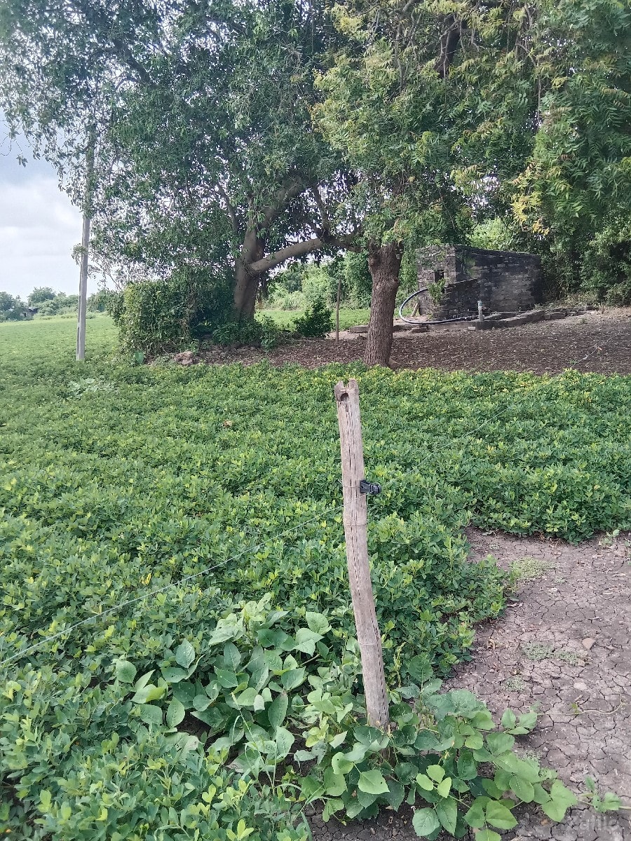 જમીન વેચવાની છે