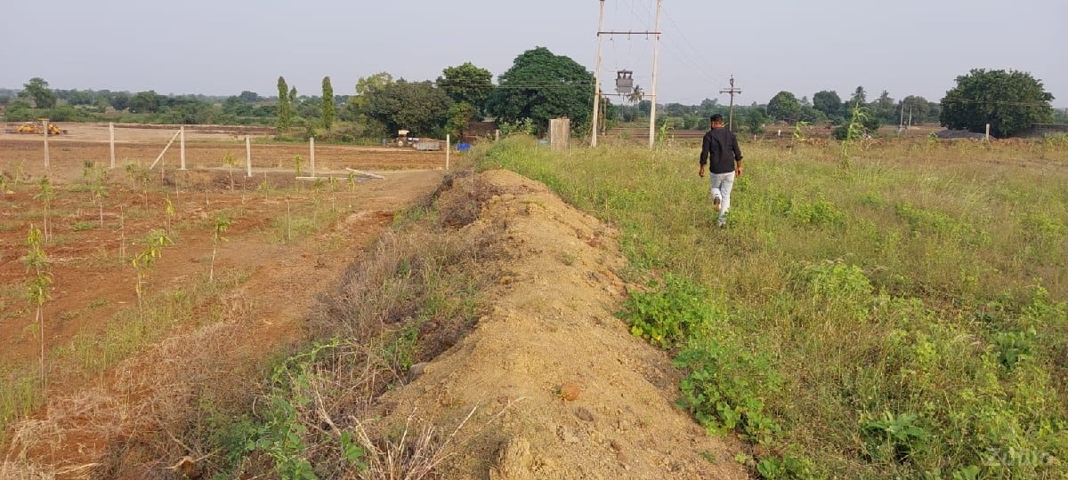 vechvani - Land & Plots - Mendarda - Image 2