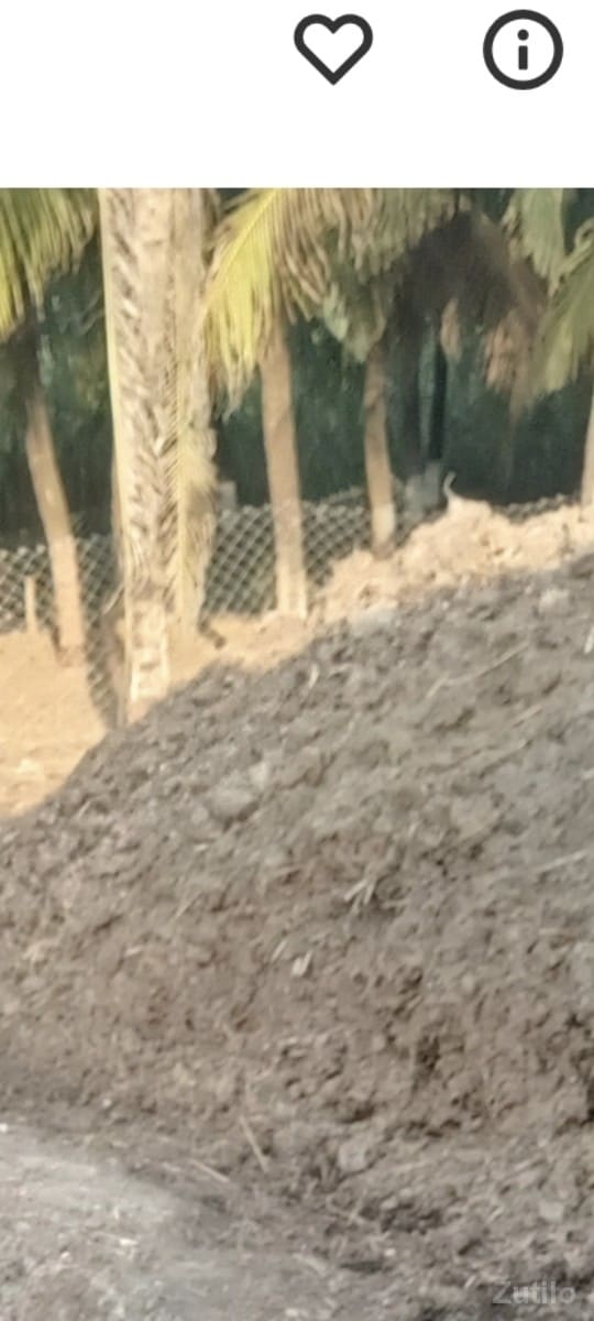 khatr vesvanuse - Land & Plots - Somnath - Image 2