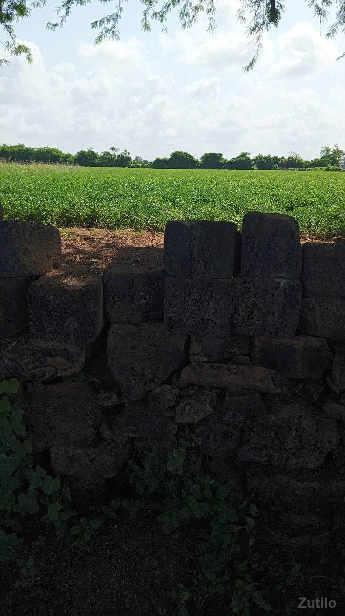 જમીન વેચવાની છે ભાઈ - Land & Plots - Dwarka - Image 3