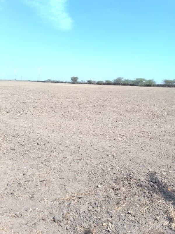 જમીન વેચવાની - Land & Plots - Vadodara City - Image 3