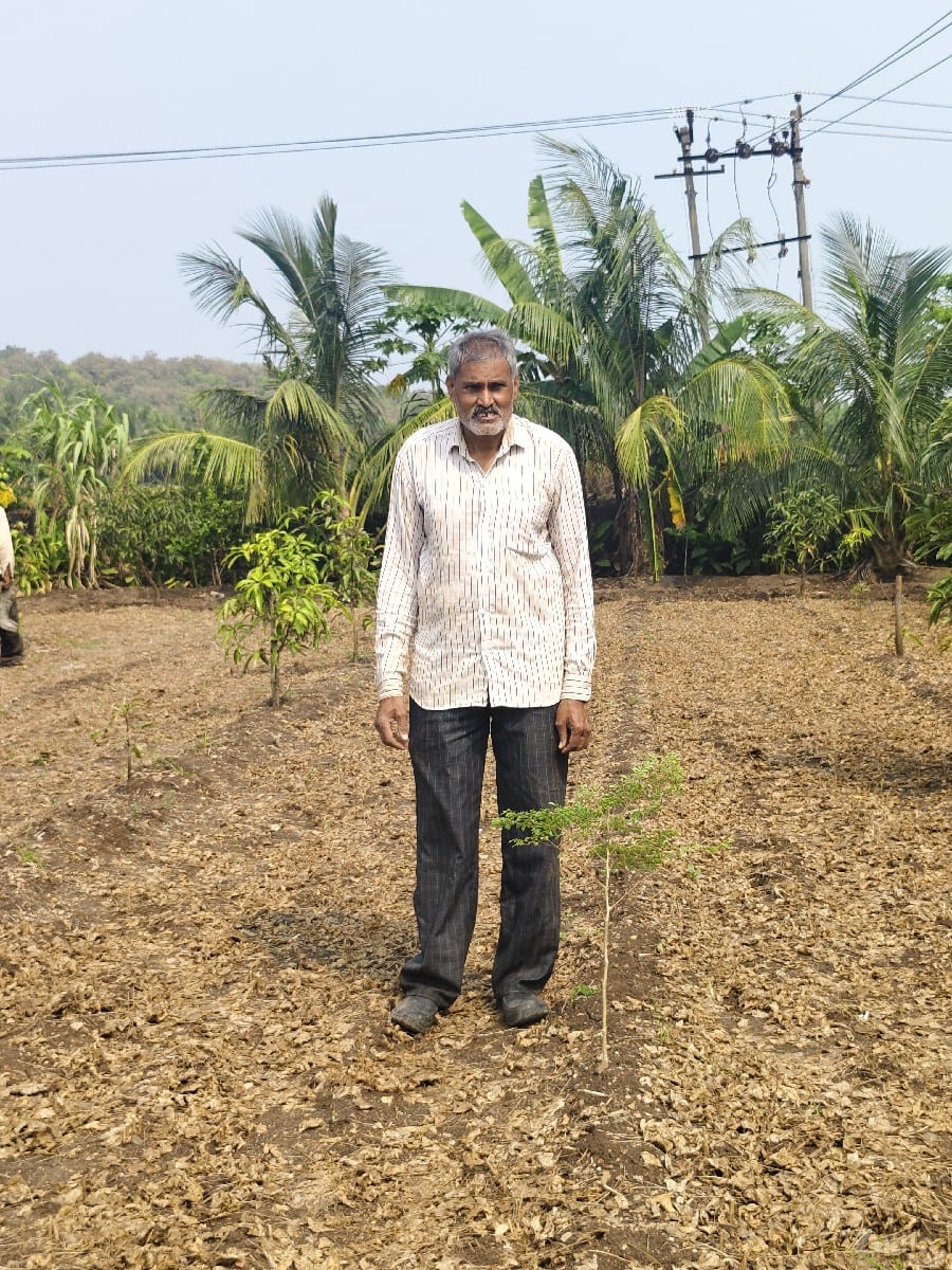 જમીન વેચવાની છે જમીન વેચવાની છે