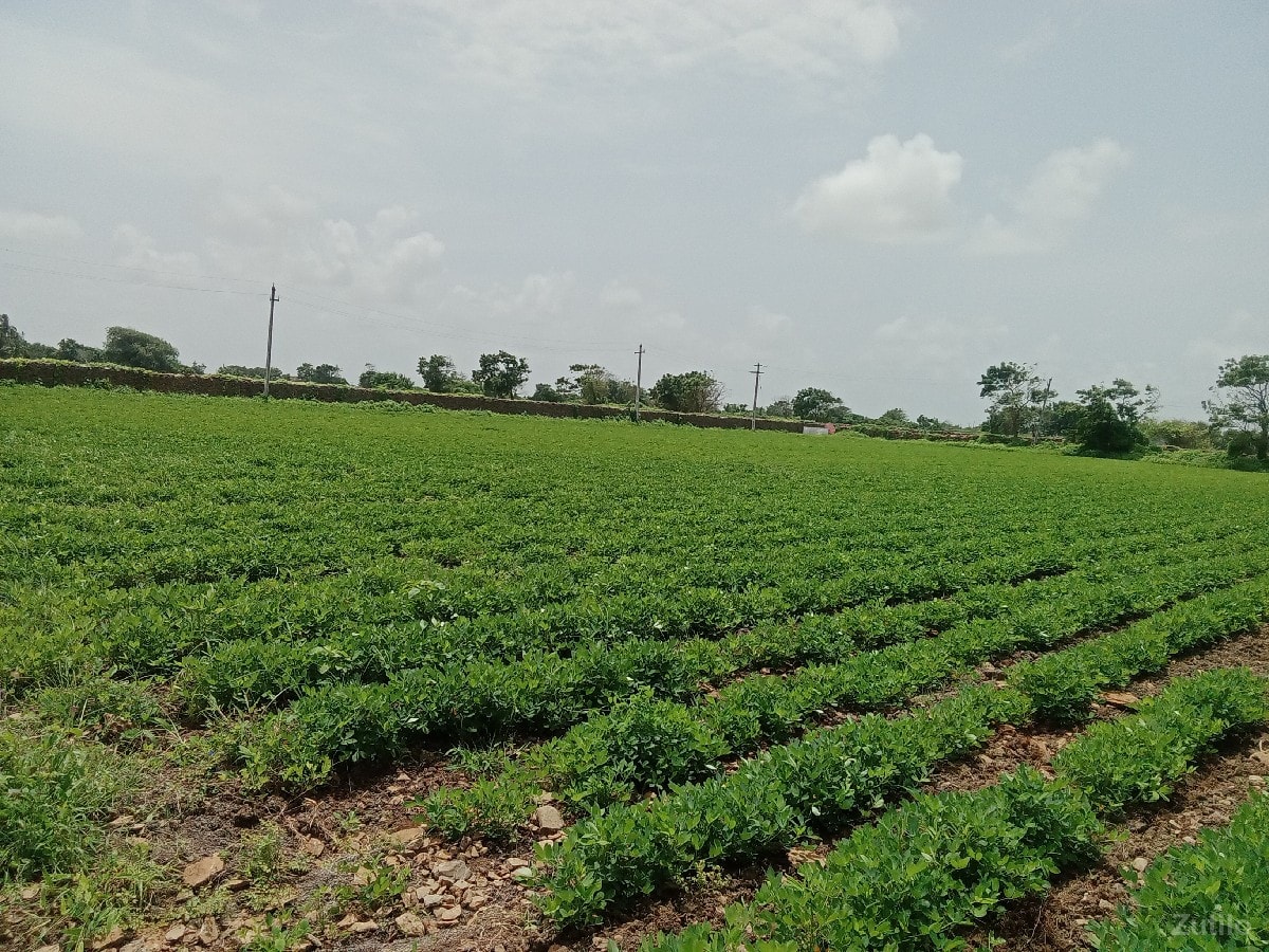 જમીન વેચવાની