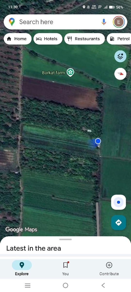 જમીન વેચવાની છે - Land & Plots - Mendarda - Image 3