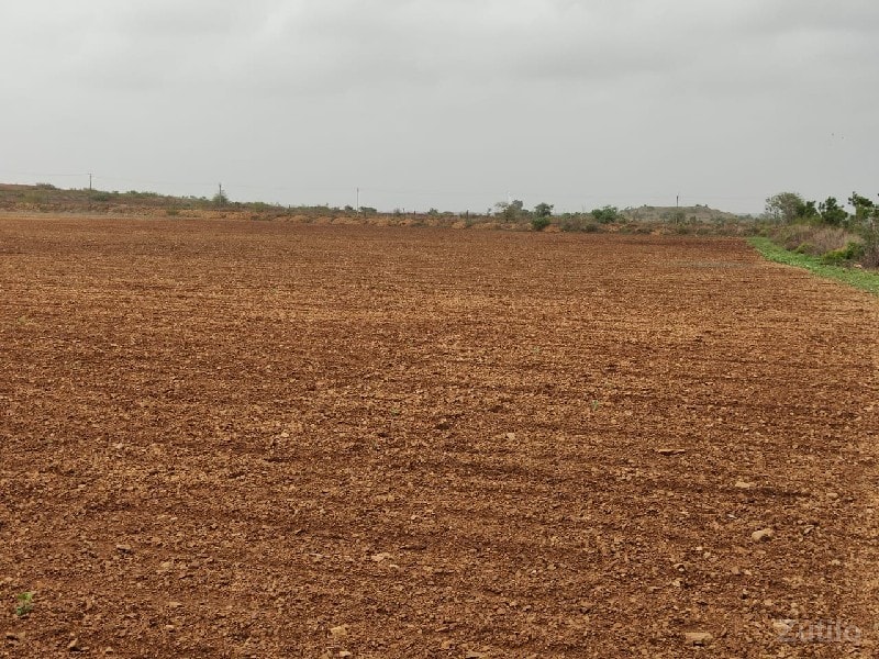 જમીન વેચવાની છે જમીન વેચવાની છે