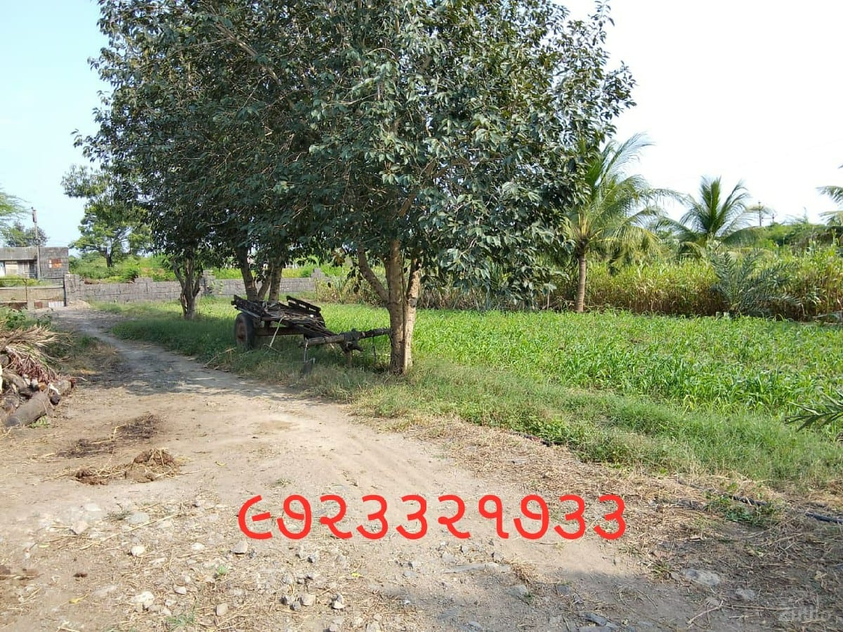 ખેતી ની જમીન વેચવાની છે