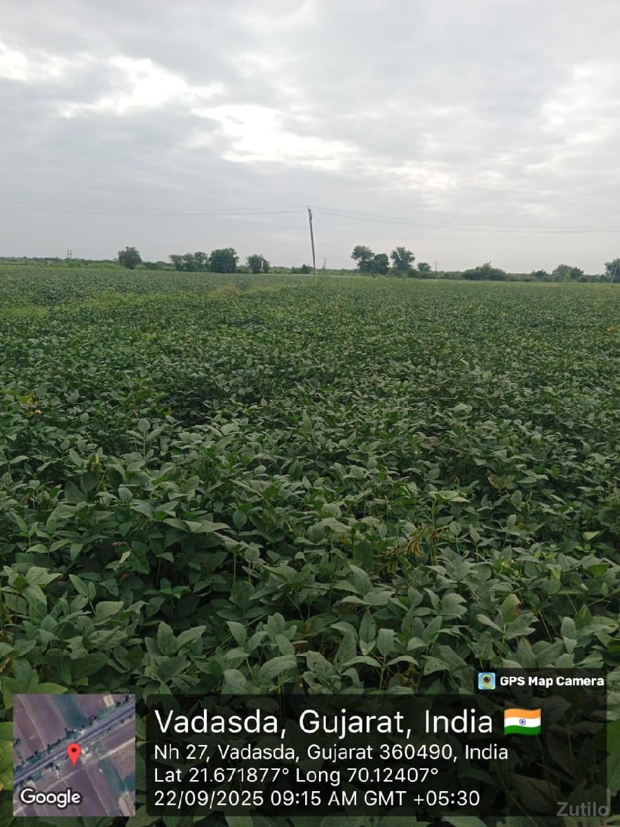*જમીન લે વેચ માટે સંપર્ક કરો*