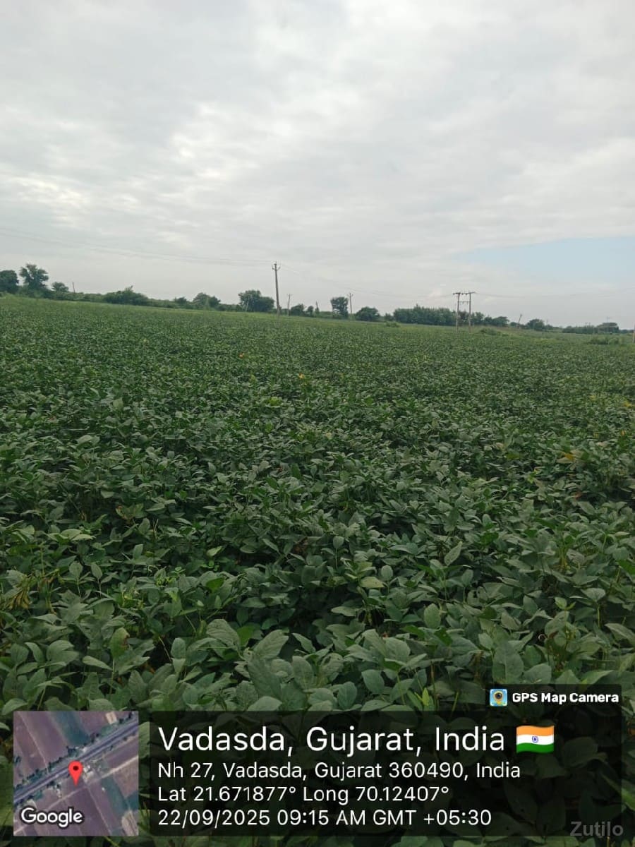 *જમીન લે વેચ માટે સંપર્ક કરો* - Land & Plots - Jamjodhpur - Image 2