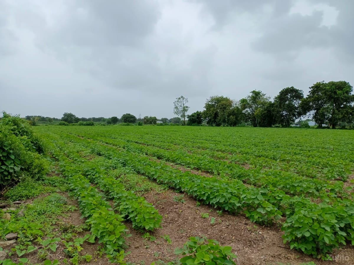 જમીન વેચવાની છે