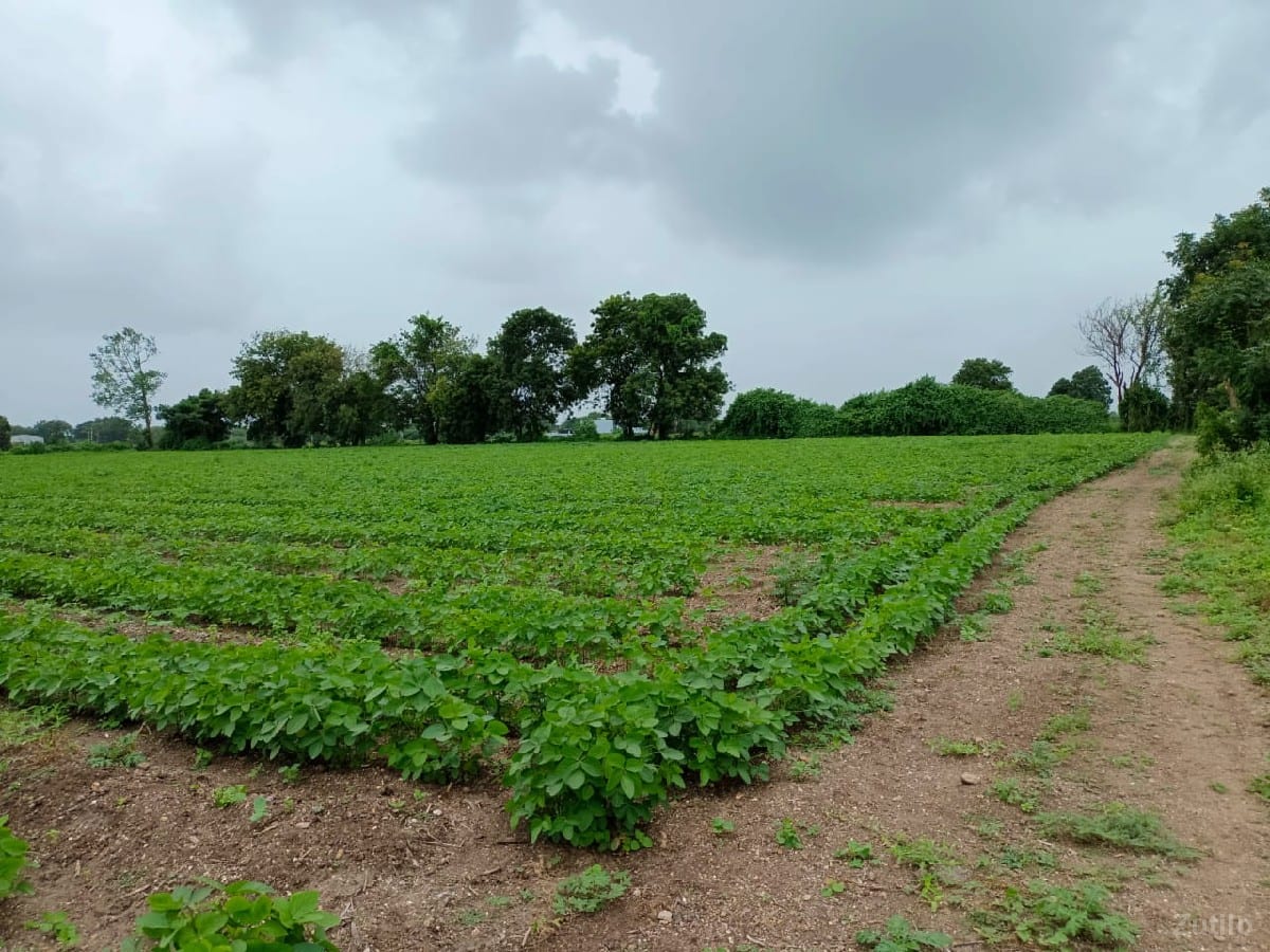 જમીન વેચવાની છે - Land & Plots - Upleta - Image 2