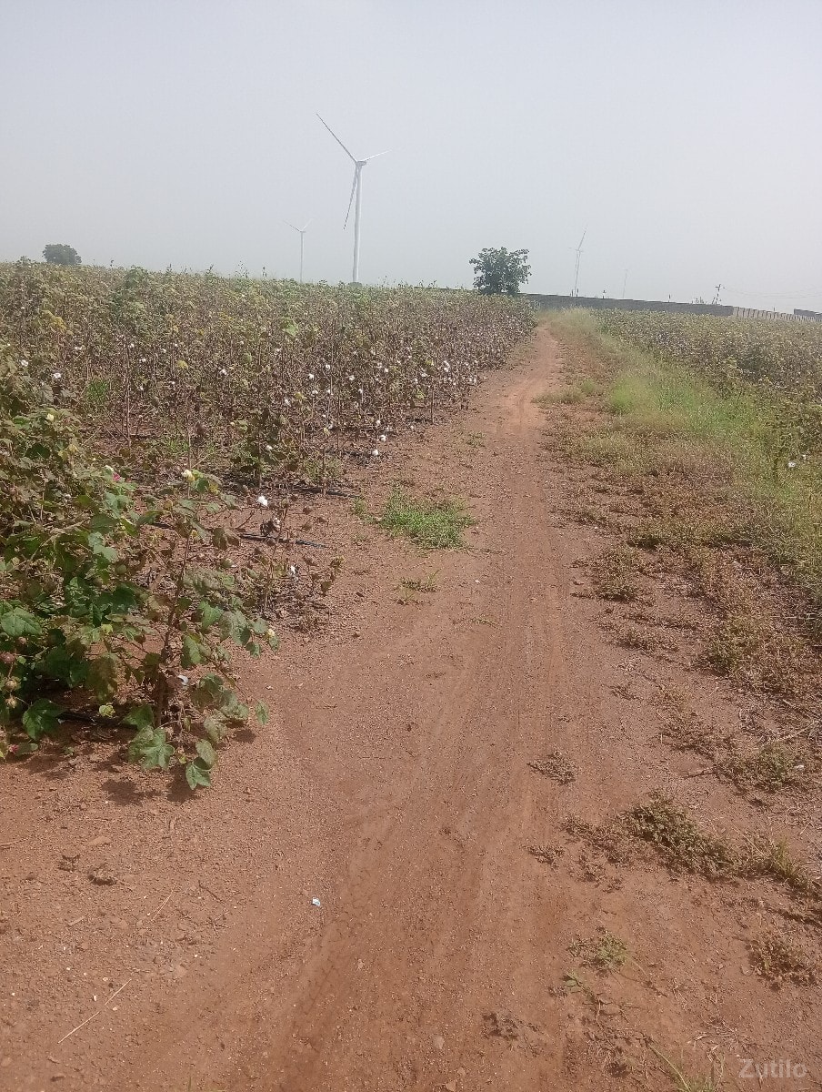 3 akr 10 gutha - Land & Plots - Wankaner - Image 3