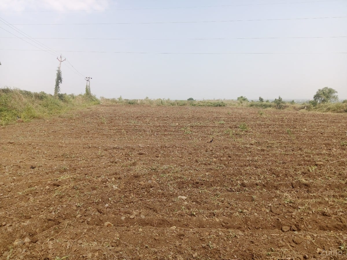 ફૂલ પાણી ત્રણ કિલોમીટર 330 - Land & Plots - Jamjodhpur - Image 2