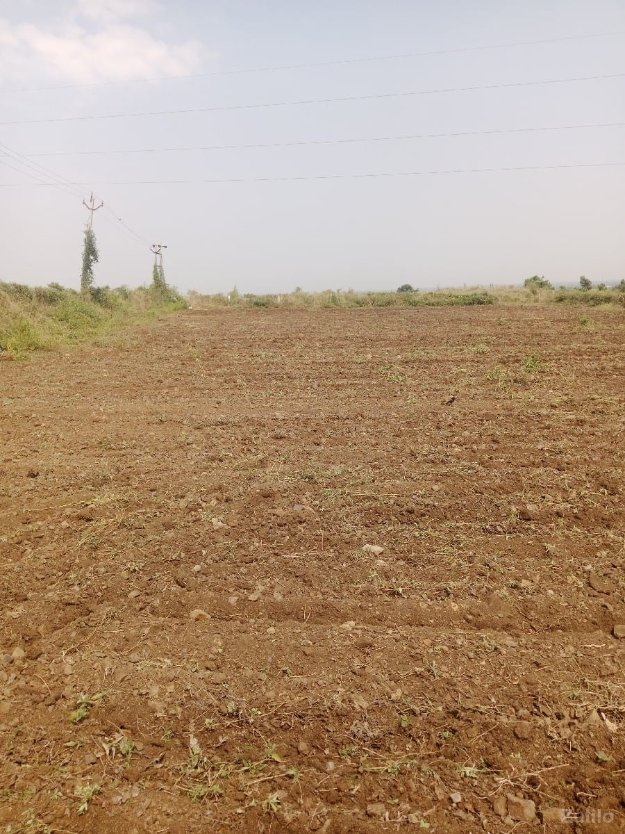 ફૂલ પાણી ત્રણ કિલોમીટર 330 - Land & Plots - Jamjodhpur - Image 3