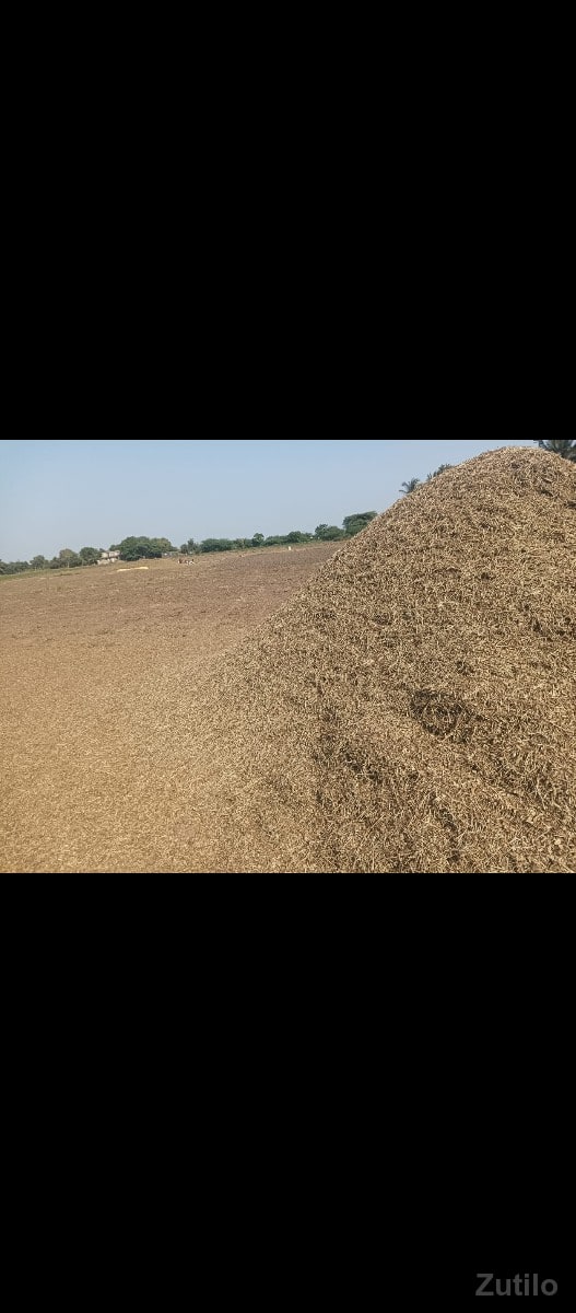 માંડવીયુ વેશવાનું સે માંડવીયુ વેશવાનું સે