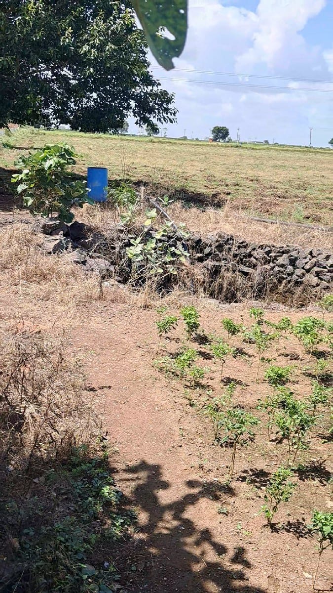 6.5 વીઘા  
60 લાખનો એકર - Land & Plots - Kalavad - Image 2