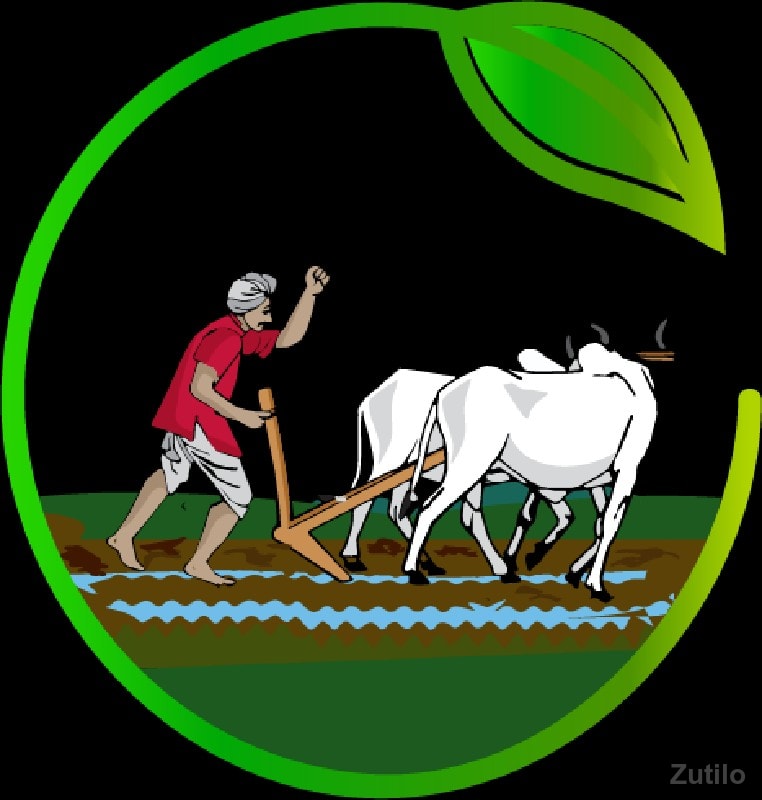 ઉધળ મા જમીન રાખવા ની છે