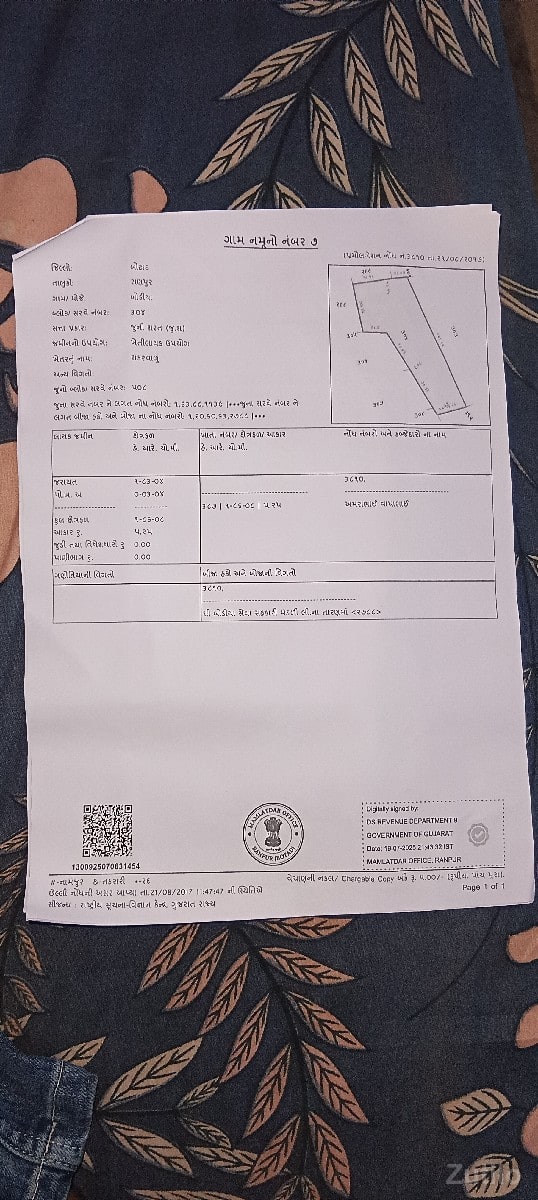 10 વીઘા જમીન કાળી માટી જુની શરત
