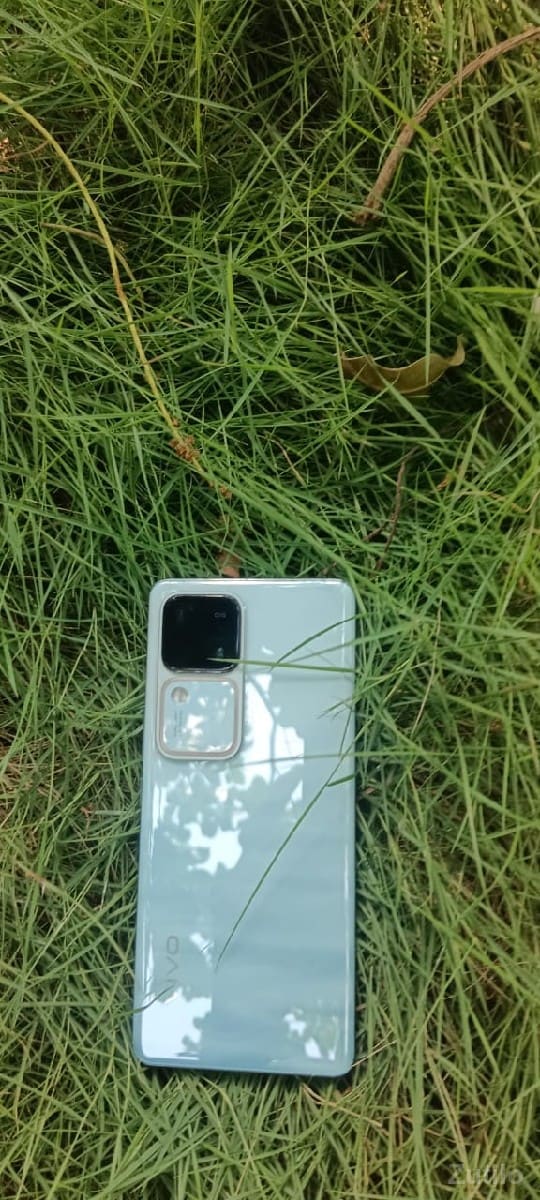 vivo v30 vivo v30