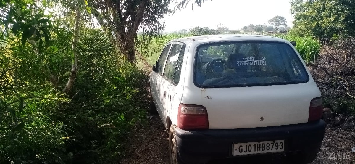 જેન વેશવાનીસે