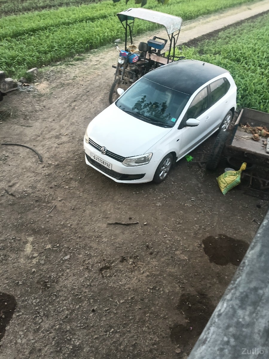 polo polo