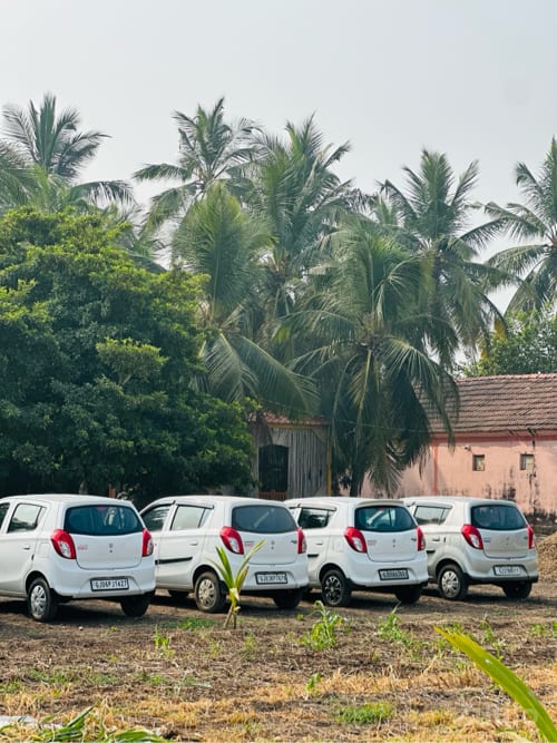 અલ્ટો 800 પેટ્રોલ 2017 થી 2022 - Cars - Mangrol - Image 2