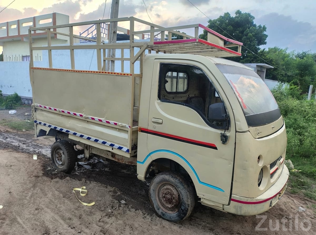 Used Chota Hathi 2010 Cargo Pickup