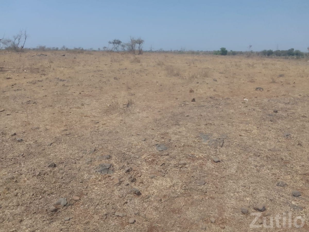 Open Agricultural Land Plot in Talala Open Agricultural Land Plot in Talala