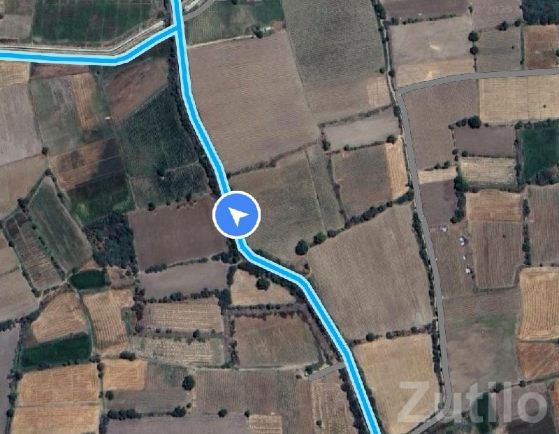 Fertile Agricultural Land Near Ahmedabad