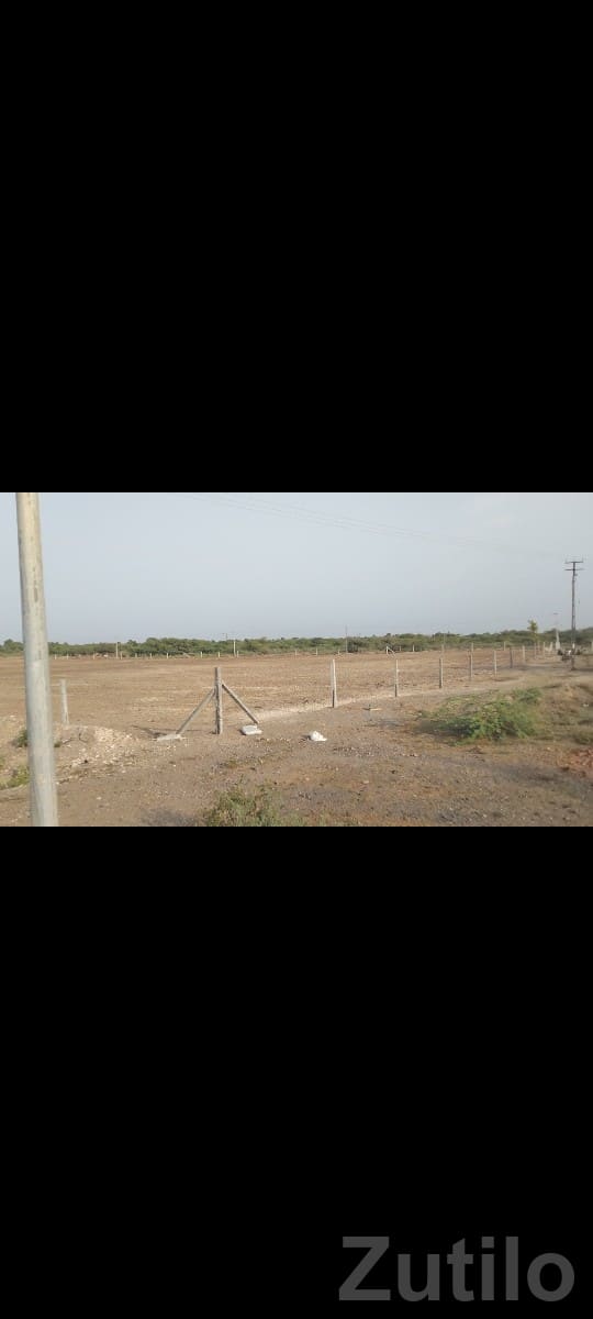 10 Bigha Road Touch Plot, Rajkot - જમીન અને પ્લોટ - રાજકોટ શહેર - Image 2
